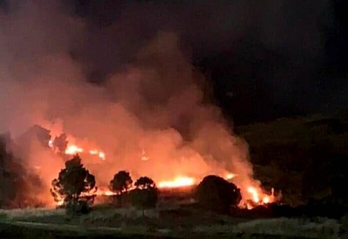 incendio parco comunale crotone