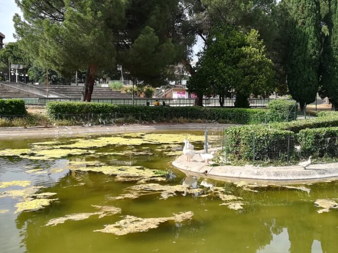 Laghetto Parco Robinson Rende