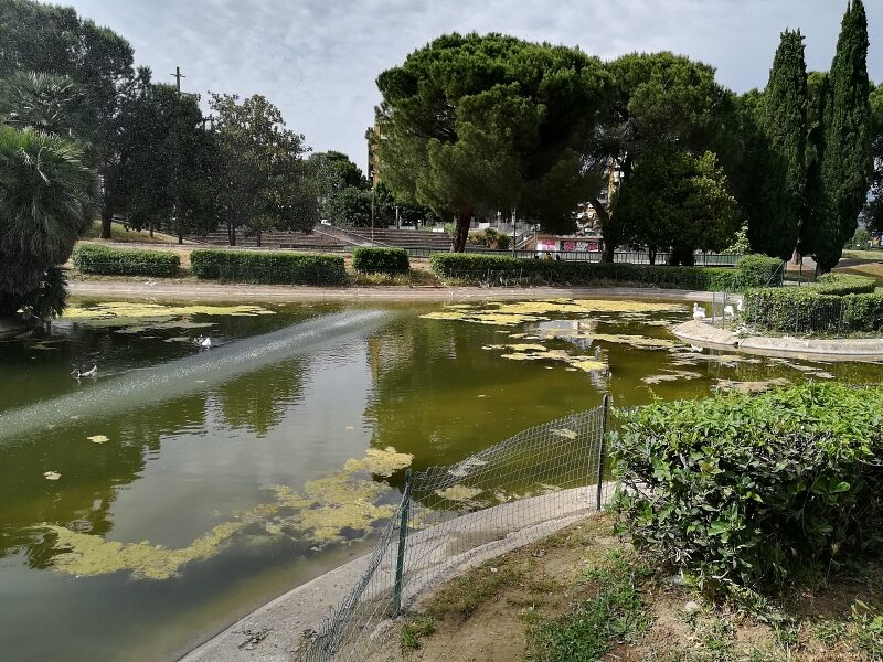 laghetto parco robinson