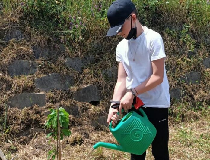 vaccarizzo giornata ambiente