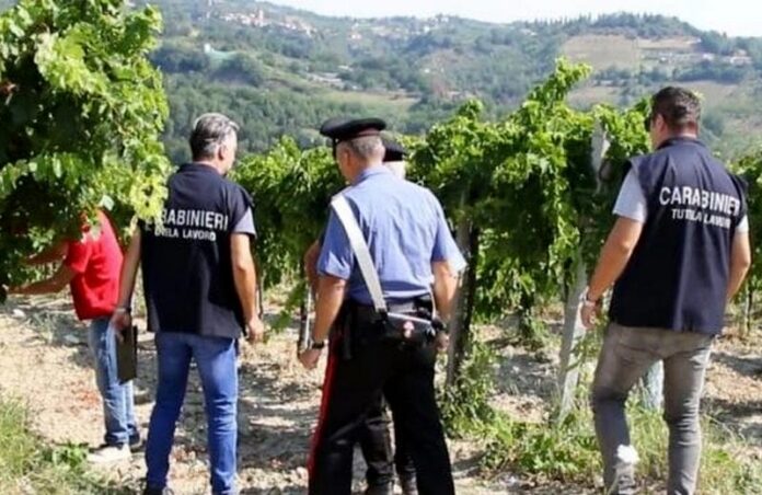 blitz carabinieri caporalato