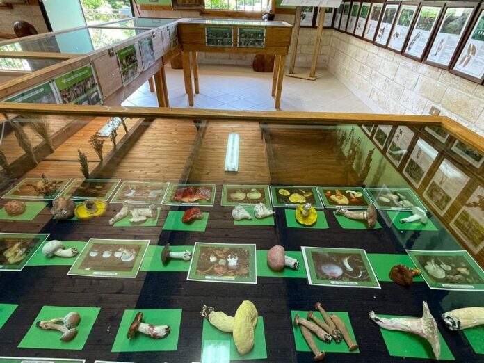 esposizione naturalistica villa bonitas