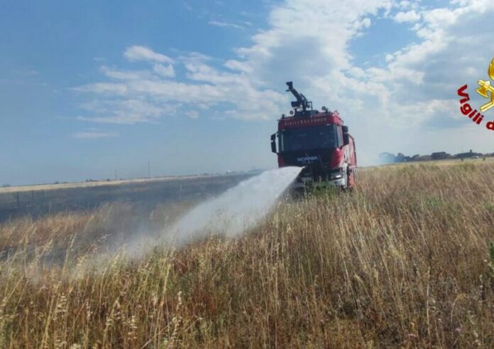 incendi boschivi crotone