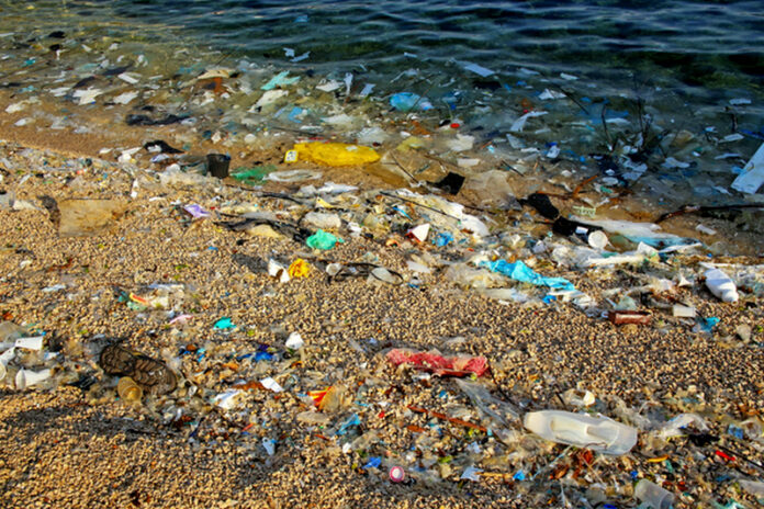 mare rifiuti