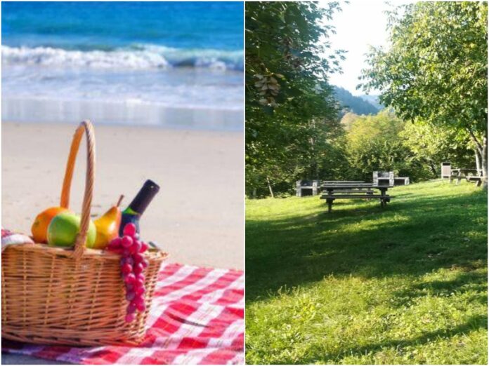 pic nic