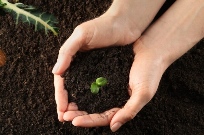 riciclo rifiuti fertilizzanti