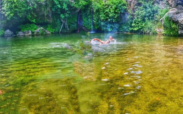 verzino piscine naturali