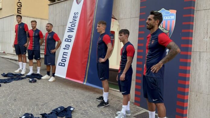 Maglia cosenza calcio