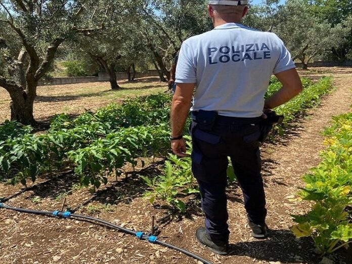Allacci abusivi alla rete idrica catanzaro