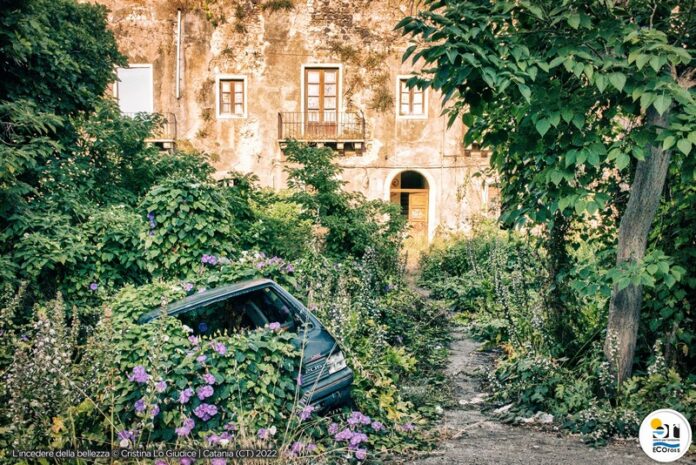 contest fotografico ecoross