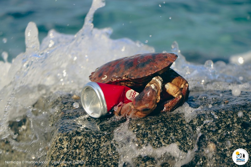 contest fotografico ecoross