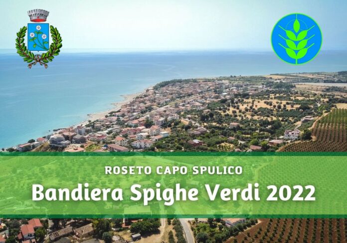 Roseto Capo Spulico Spighe Verdi 2022