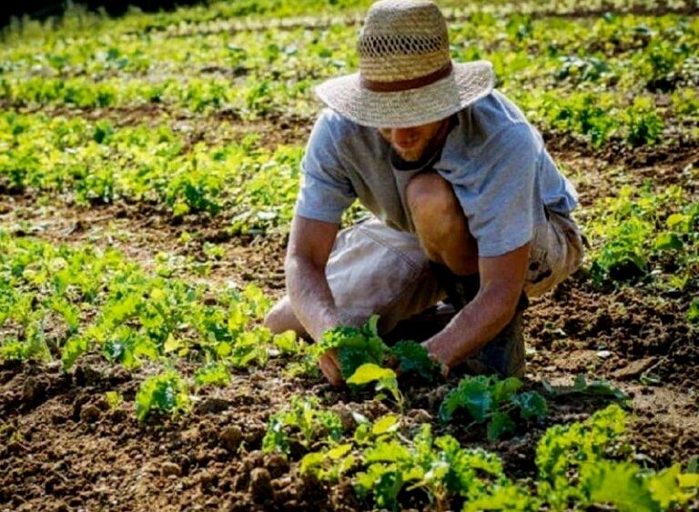 agricoltura agricoltore