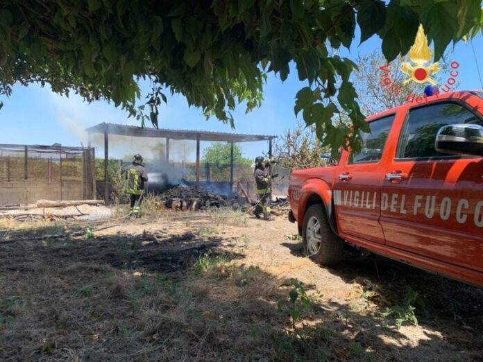 badolato incendio