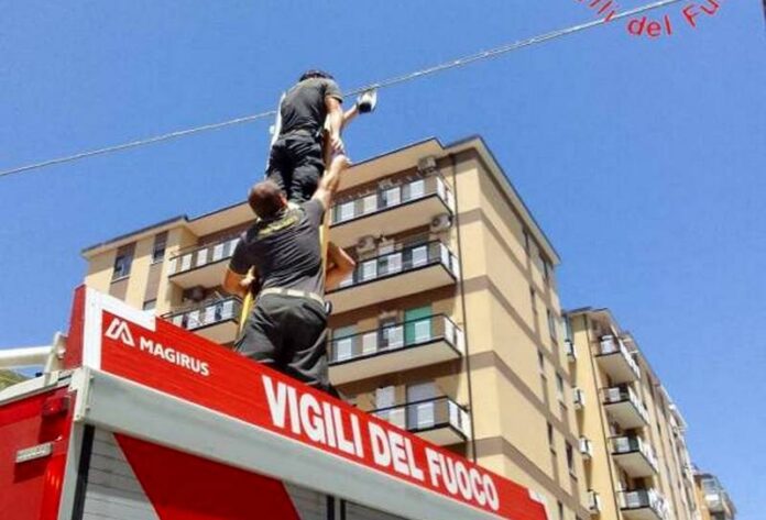 colomba salvata vigili del fuoco