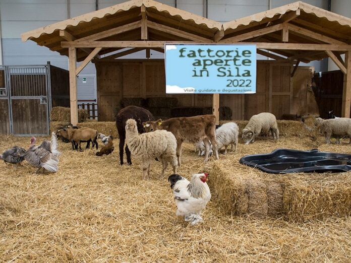fattorie aperte sila