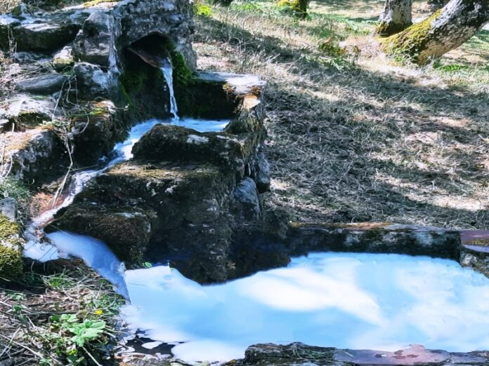 schiuma fontana cerisano
