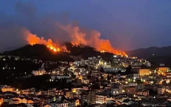 incendi calabria