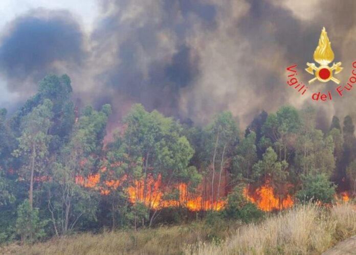 incendio in calabria