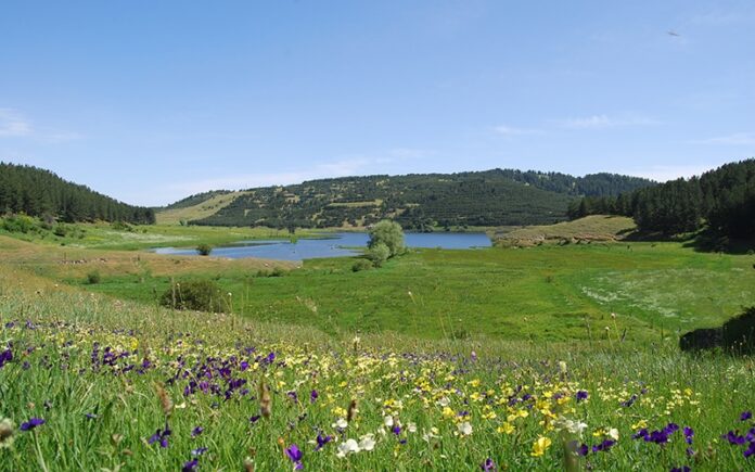 lago di ariamacina