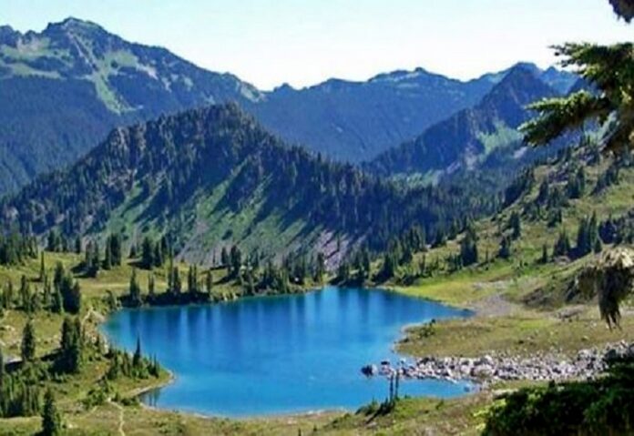 parco nazionale sila cosenza