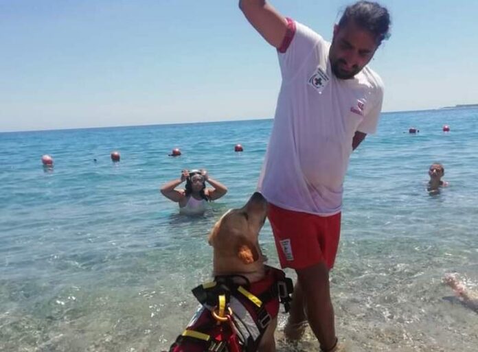 unità cinofila salvataggio mare