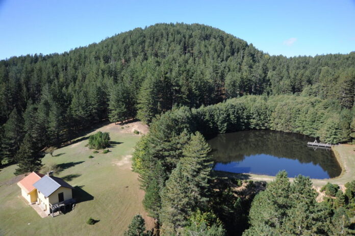 Be Alternative Festival - riserva biogenetica Corvo