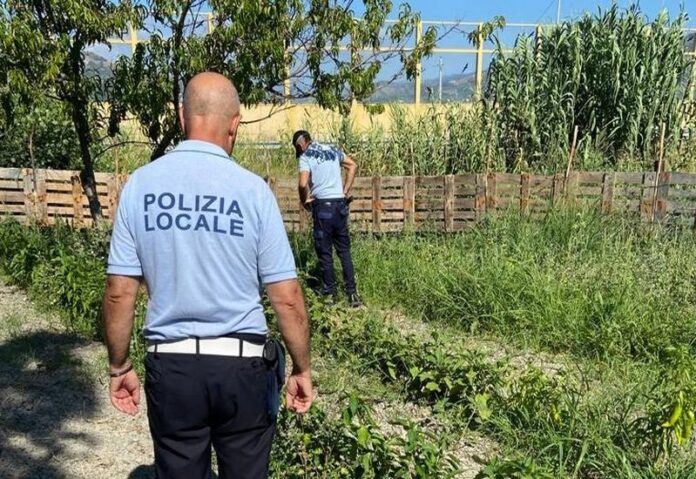 abusivismo idrico catanzaro