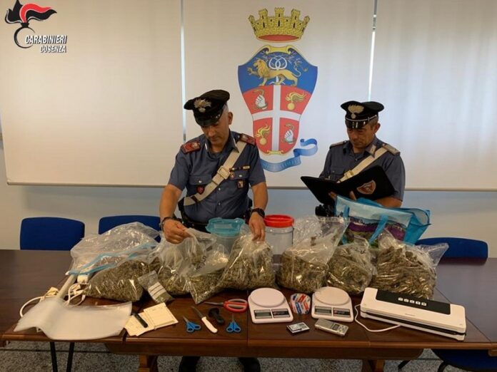 arresto marijuana rende