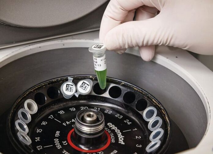 laboratorio provette