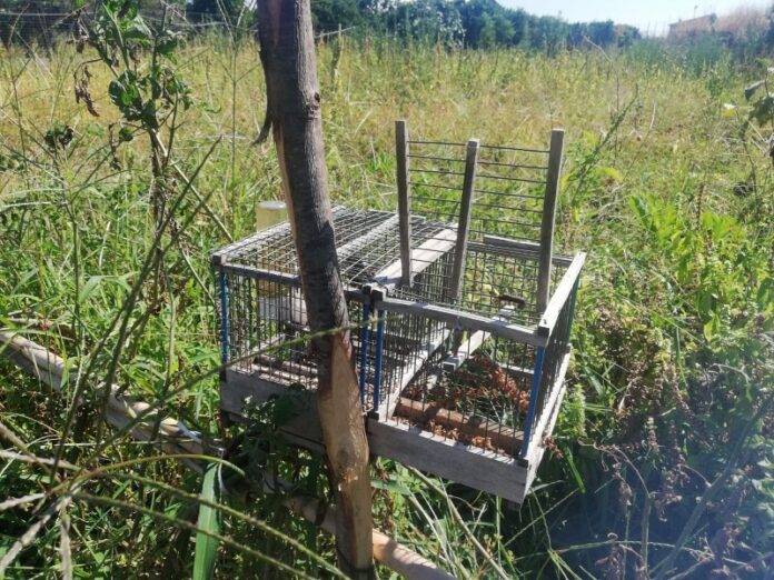 operazione antibracconaggio della Polizia Provinciale