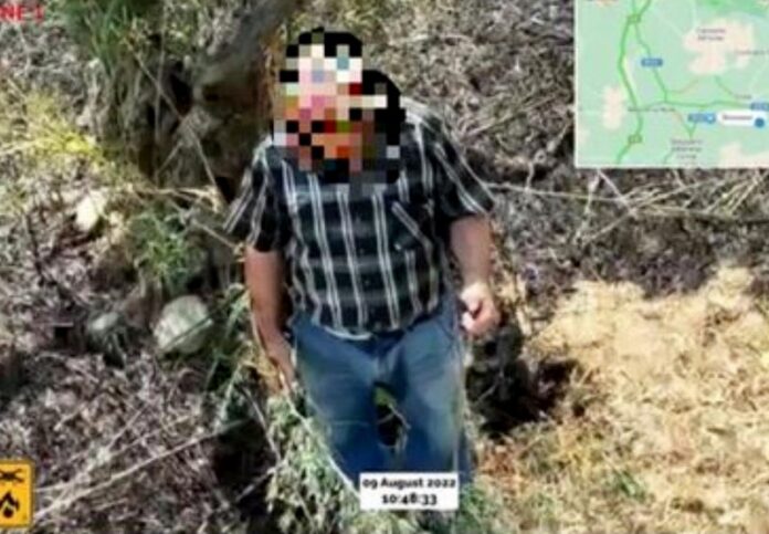 piromane foto drone calabria