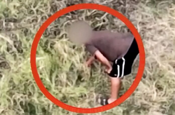 piromane incendio calabria