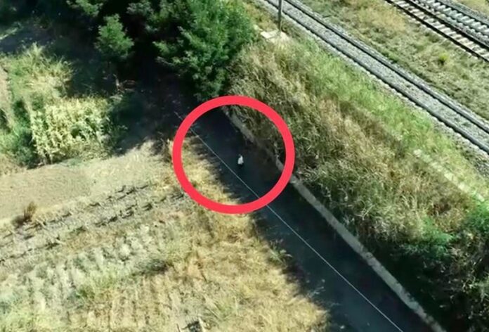 piromani foto occhiuto