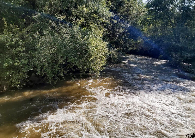 Fiume Crati