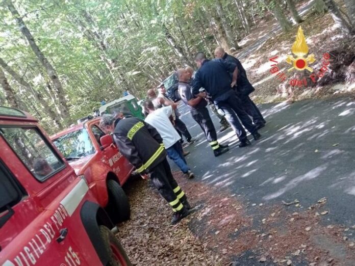 anziano disperso aspromonte