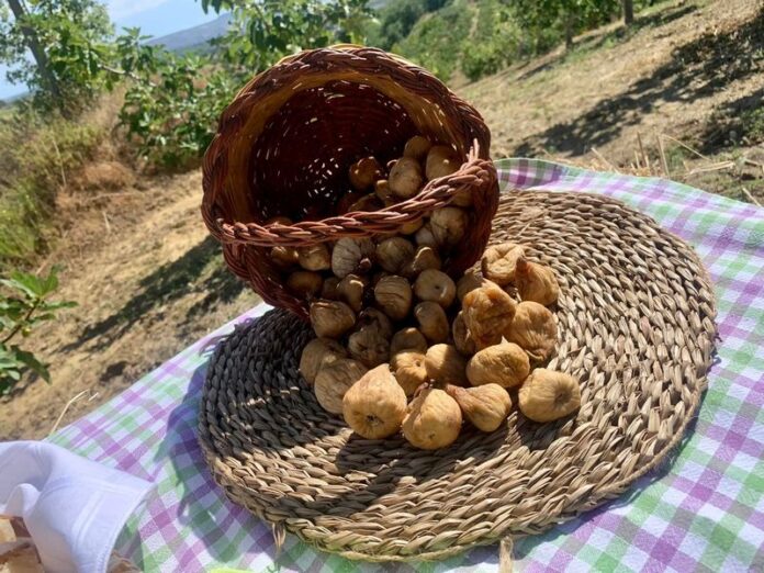 cestino Fichi di Cosenza Dop