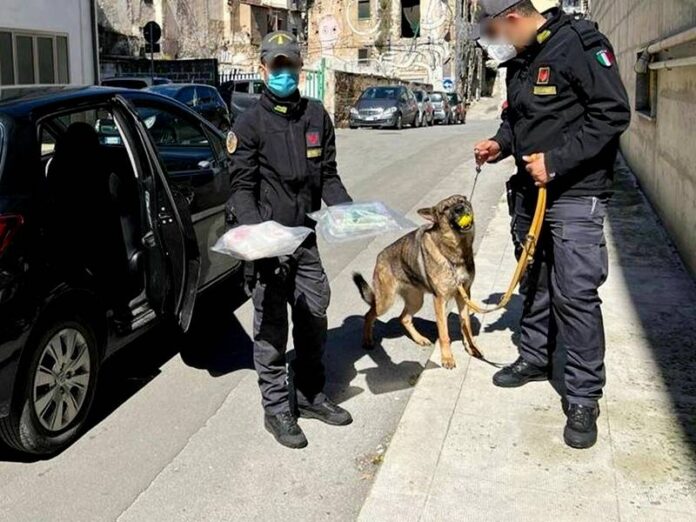 cocaina auto palermo