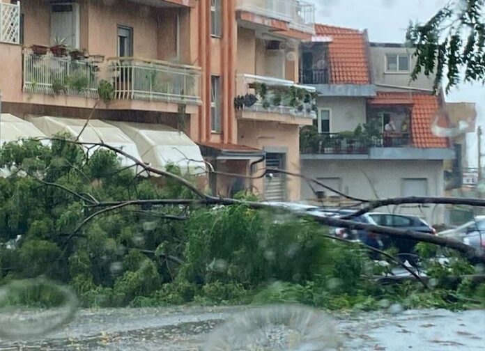 maltempo lamezia