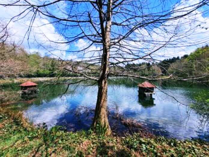 mongiana