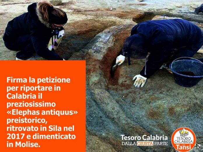 petizione Elephas antiquus