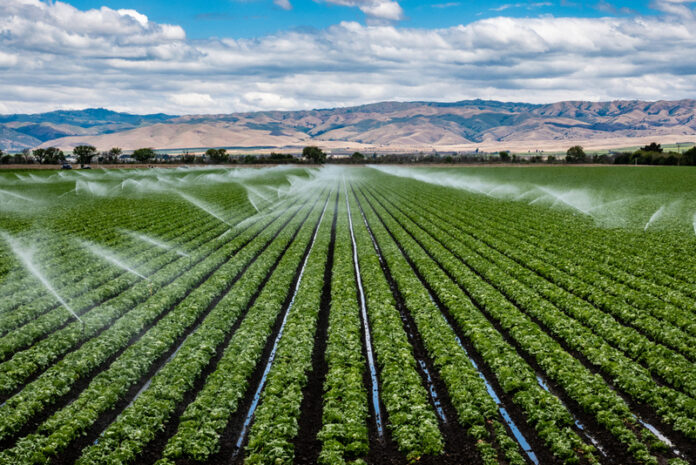 fondi pnrr agrosistema irriguo