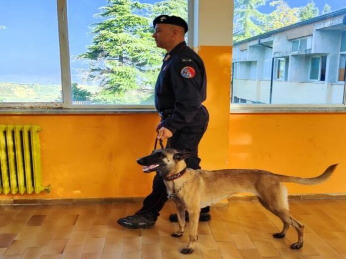 carabinieri-scuole-droga