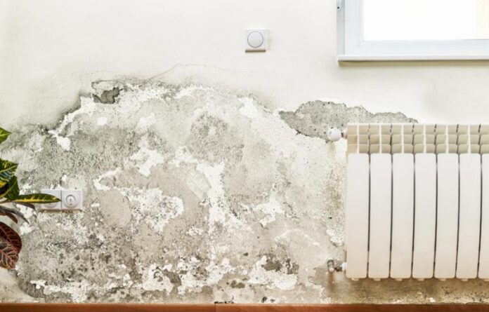 case popolari degrado