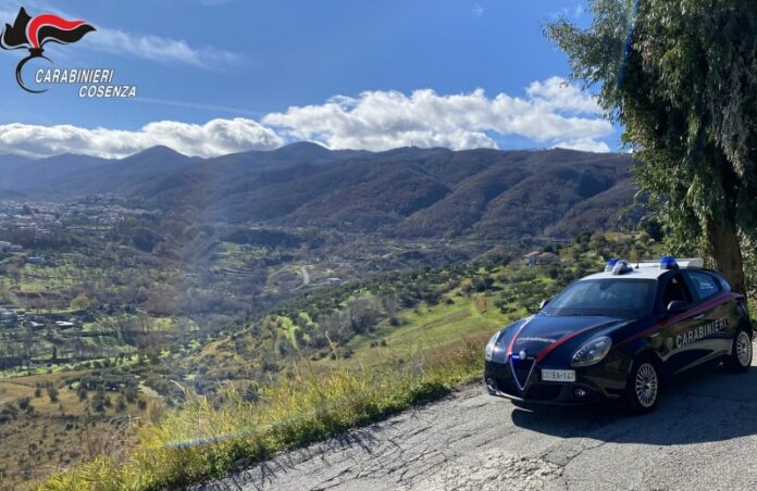 omicidio Lisa gabriele rende