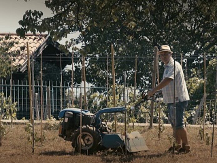 film Marketing a km Zero Ippogrifo