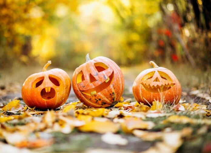 halloween zucche