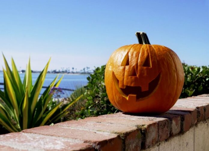 hallowen mare caldo