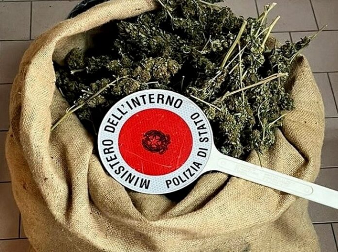 isola capo rizzuto marijuana