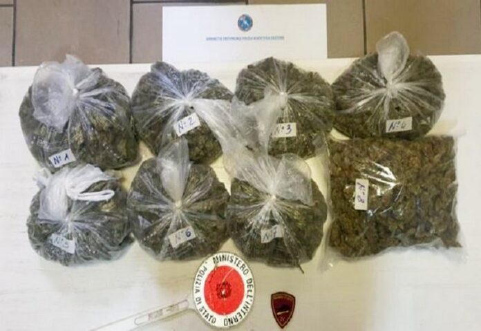 marijuana droga crotone